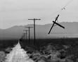 Broken Telephone Pole