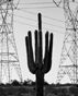 Cactus and Towers