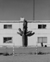Cactus Building 2