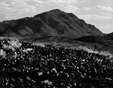Cans and Mountain