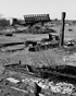 Cattle Wagon