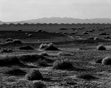 Dirt Piles 2