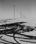 Hose and Telephone Pole