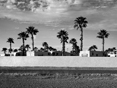 RV Park and Palms