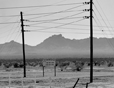 Sale Sign and Telephone Lines