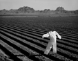 Scarecrow