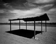 Shelter