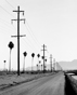 Telephone Poles and Palms