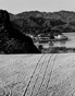 Tracks in Sand and River