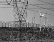 Wind Farm