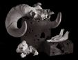 Forsaken Treasures