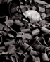 Discarded Containers