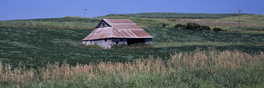 Barm at Shlby Co.
