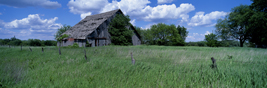 Marion Barn