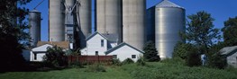 Randall Silos