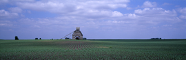 Story Farm