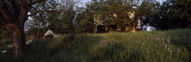Old House 