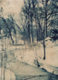 Winter Woods