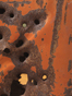 Gas Can 3