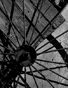 Wagon Wheel