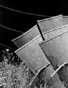 Windmill Blades